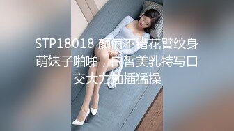 STP18018 颜值不错花臂纹身萌妹子啪啪，白皙美乳特写口交大力抽插猛操