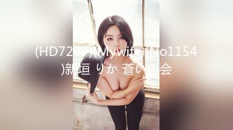 (HD720P)(Mywife)(No1154)新垣 りか 蒼い再会