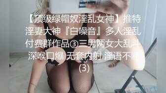 日奈娇 皮质女仆