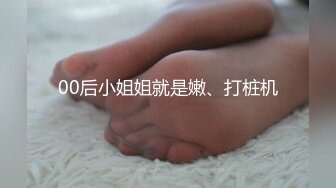 漂亮美眉车震