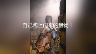 [影响问题工作] 与地面戏剧女演员的第一个也是最后一个奇迹奇闻趣事。记录了大约