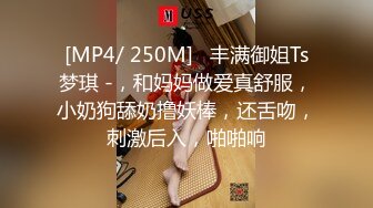 ??????极品露出大神！推特25万粉丝【Flashing】各场所精彩露出甄选，高难度露出挑战[MP4/277MB]