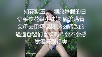 沈先森约齐逼短裤外围,穿上网袜深喉口交,翘起屁股后入抽插猛操