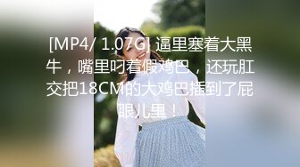 [2DF2]《报复出轨老公高冷美少妇和私家侦探鬼混给丈夫戴绿帽》1080p高清原版&nbsp;&nbsp;[MP4/241MB][BT种子]