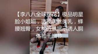 【李八八全球探花】极品明星脸小姐姐，透视黑丝美乳，蜂腰翘臀，女神近景展示诱人胴体被干细节