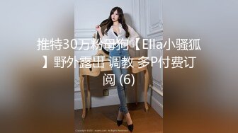 推特30万粉母狗【Ella小骚狐】野外露出 调教 多P付费订阅 (6)