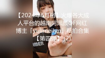 【伊玫瑰】高颜值河南小少妇，良家感十足，跟粉丝啪啪无套，自慰用黄瓜 (1)