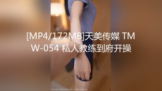 MFK-0026年轻的家政妇