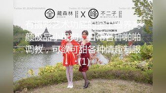 【91大神】美少女杀手【最爱萝莉】E奶高颜值女神车震??极品野模破处后入被操哭[高清增强版]