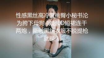 性感黑丝高冷蜜桃臀小秘书沦为胯下母狗 掀起LO短裙连干两炮，撕破黑丝衣服不脱提枪就操！