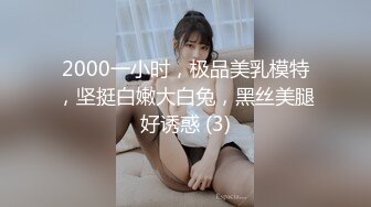 2000一小时，极品美乳模特，坚挺白嫩大白兔，黑丝美腿好诱惑 (3)