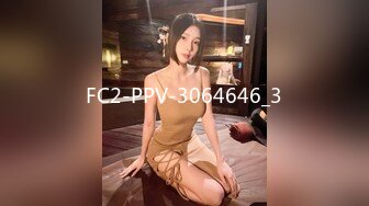 FC2-PPV-3064646_3