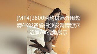 [MP4]2800网约极品外围超清4K设备偷拍沙发调情掰穴近景AV视角展示