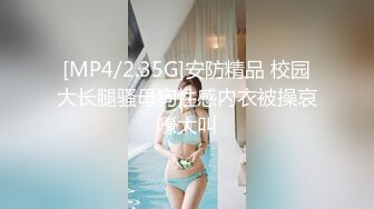 国产麻豆AV MD MD0063 女優面試員 袁庭妮