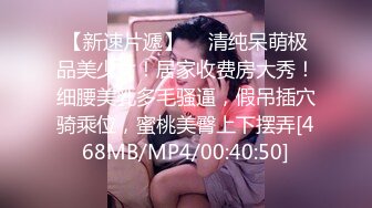 MDHG0016 麻豆传媒 这个面试有点硬 在天桥上的享乐者 言欣恬