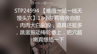 HPP0004 麻豆AV 番外 麻豆导演系列 仙人跳跳跳 李文静