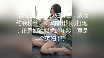 【精品】抖音少妇暮色，浓妆约会粉丝，KTV露出开房打炮，正是如狼似虎的年龄，真是个荡妇 (3)