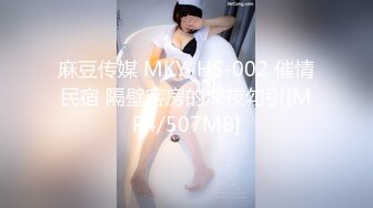 麻豆传媒 MKY-HS-002 催情民宿 隔壁客房的深夜勾引[MP4/507MB]