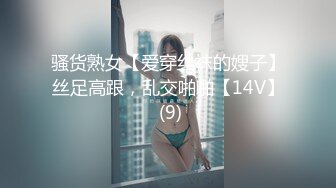 骚货熟女【爱穿丝袜的嫂子】丝足高跟，乱交啪啪【14V】 (9)