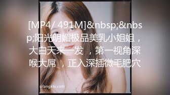 [MP4/ 491M]&nbsp;&nbsp;阳光明媚极品美乳小姐姐，大白天来一发 ，第一视角深喉大屌 ，正入深插微毛肥穴