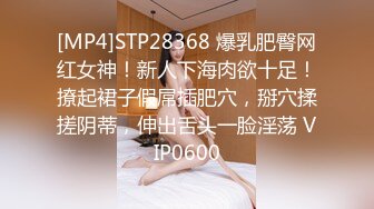 [MP4]STP29048 真枪实弹无套啪啪有这样的女朋友在身边你还有心思工作吗 - 新人颜值气质美女半雪 VIP0600