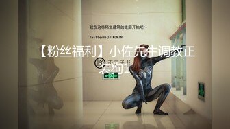 【粉丝福利】小佐先生调教正装狗1