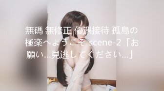 無碼 無修正 優遇接待 孤島の極楽へようこそ scene-2「お願い…見逃してください…」