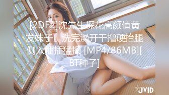 【台湾三级】淑女出招CD1