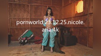 pornworld.23.12.25.nicole.aria.4k