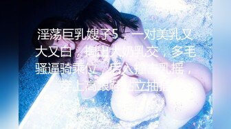 OnlyFan 一日女友的漂亮姐姐 下-终章