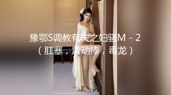 豫鄂S调教有夫之妇骚M－2（肛塞，震动棒，毒龙）