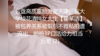 生命保险推销员的肉体推销 吉泽明歩