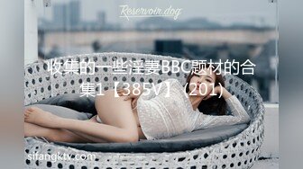 收集的一些淫妻BBC题材的合集1【385V】 (201)