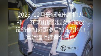 2023-12月最新流出厕拍大神❤️在某山顶公园女厕偷放设备偷拍近距离后拍(17)挎包富姐逼上挂着个白点