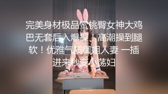 完美身材极品蜜桃臀女神大鸡巴无套后入爆操！高潮操到腿软！优雅气质御姐人妻 一插进来秒变小荡妇