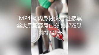 [MP4]肉肉身材少妇 性感黑丝大屁股舔屌口交 抬起双腿抽插猛操