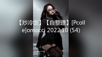 【炒冷饭】【自整理】[Pcolle]omocci 2022.10 (54)