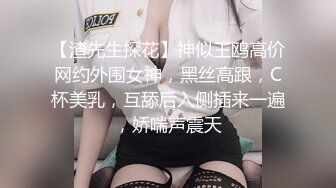 【渣先生探花】神似王鸥高价网约外围女神，黑丝高跟，C杯美乳，互舔后入侧插来一遍，娇喘声震天