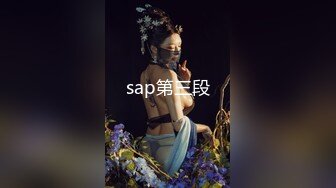 sap第三段