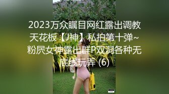 LO御姐白领 性感黑丝高冷蜜桃臀小秘书沦为胯下母狗 掀起LO短裙连干两炮，撕破黑丝衣服不脱提枪就操！