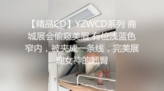 房东太太 来收租了！的!