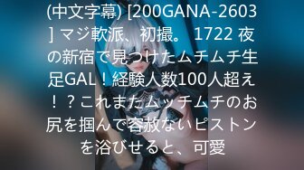 (中文字幕) [200GANA-2603] マジ軟派、初撮。 1722 夜の新宿で見つけたムチムチ生足GAL！経験人数100人超え！？これまたムッチムチのお尻を掴んで容赦ないピストンを浴びせると、可愛