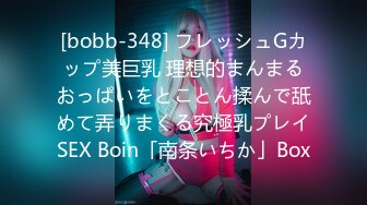 [bobb-348] フレッシュGカップ美巨乳 理想的まんまるおっぱいをとことん揉んで舐めて弄りまくる究極乳プレイSEX Boin「南条いちか」Box