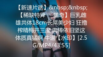 027夫妻做爱三部曲之前戏:小怪兽加口交