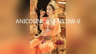 ANICOSINC 050 NILOW-01