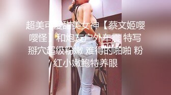 超美可爱甜美女神【蔡文姬嘤嘤怪】和炮友户外车震 特写掰穴超级粉嫩 难得的啪啪 粉红小嫩鲍特养眼