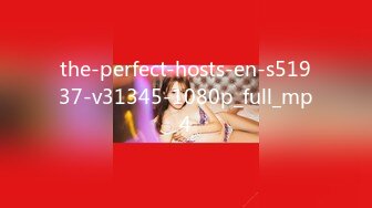 the-perfect-hosts-en-s51937-v31345-1080p_full_mp4