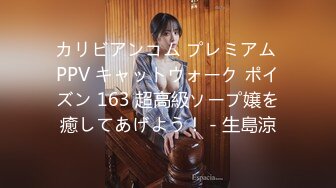 カリビアンコム プレミアム PPV キャットウォーク ポイズン 163 超高級ソープ嬢を癒してあげよう！ - 生島涼