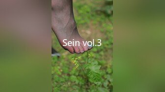 Sein vol.3