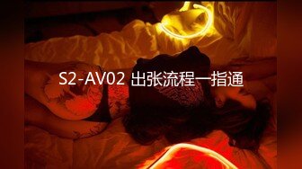 S2-AV02 出张流程一指通